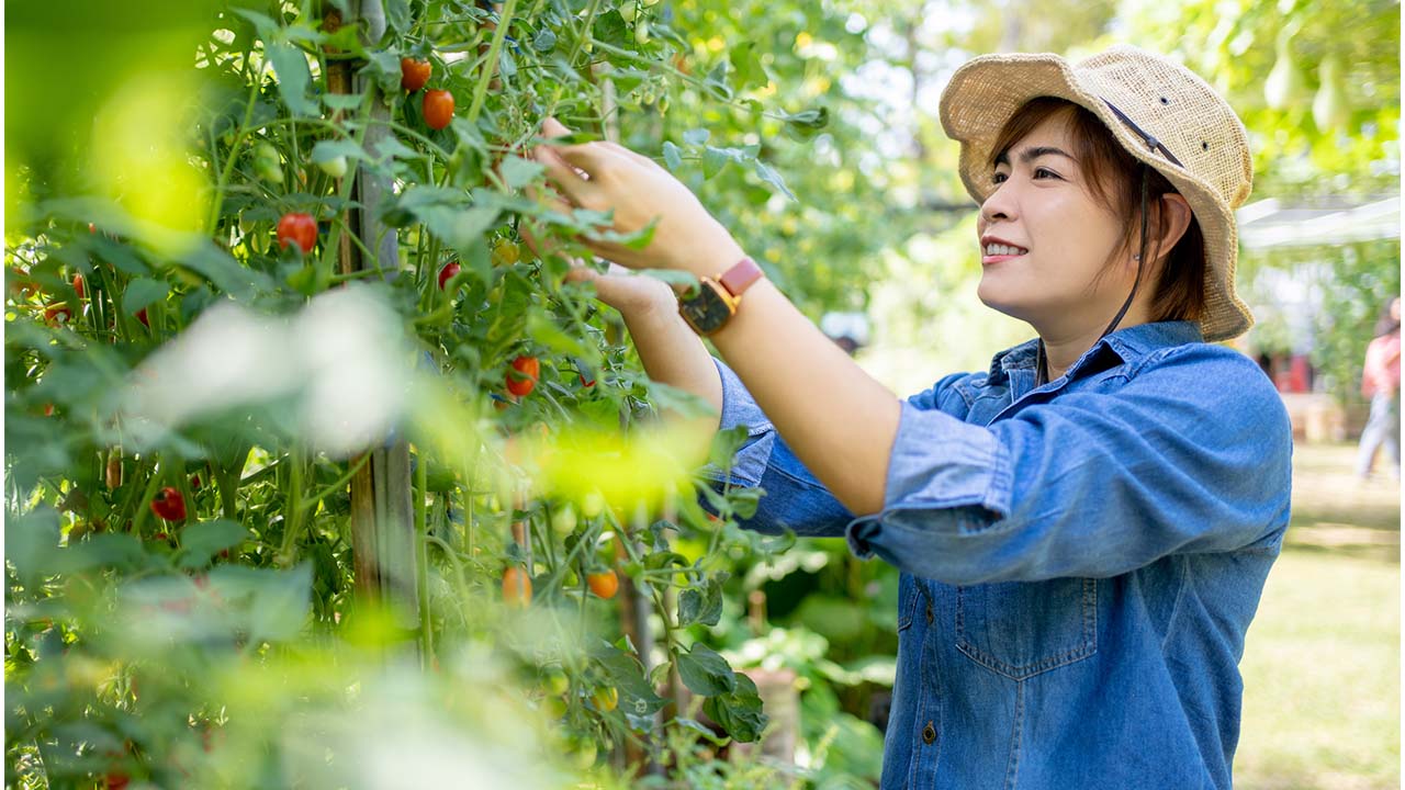 Como se preparar para tirar férias sendo dono ou dona do próprio negócio