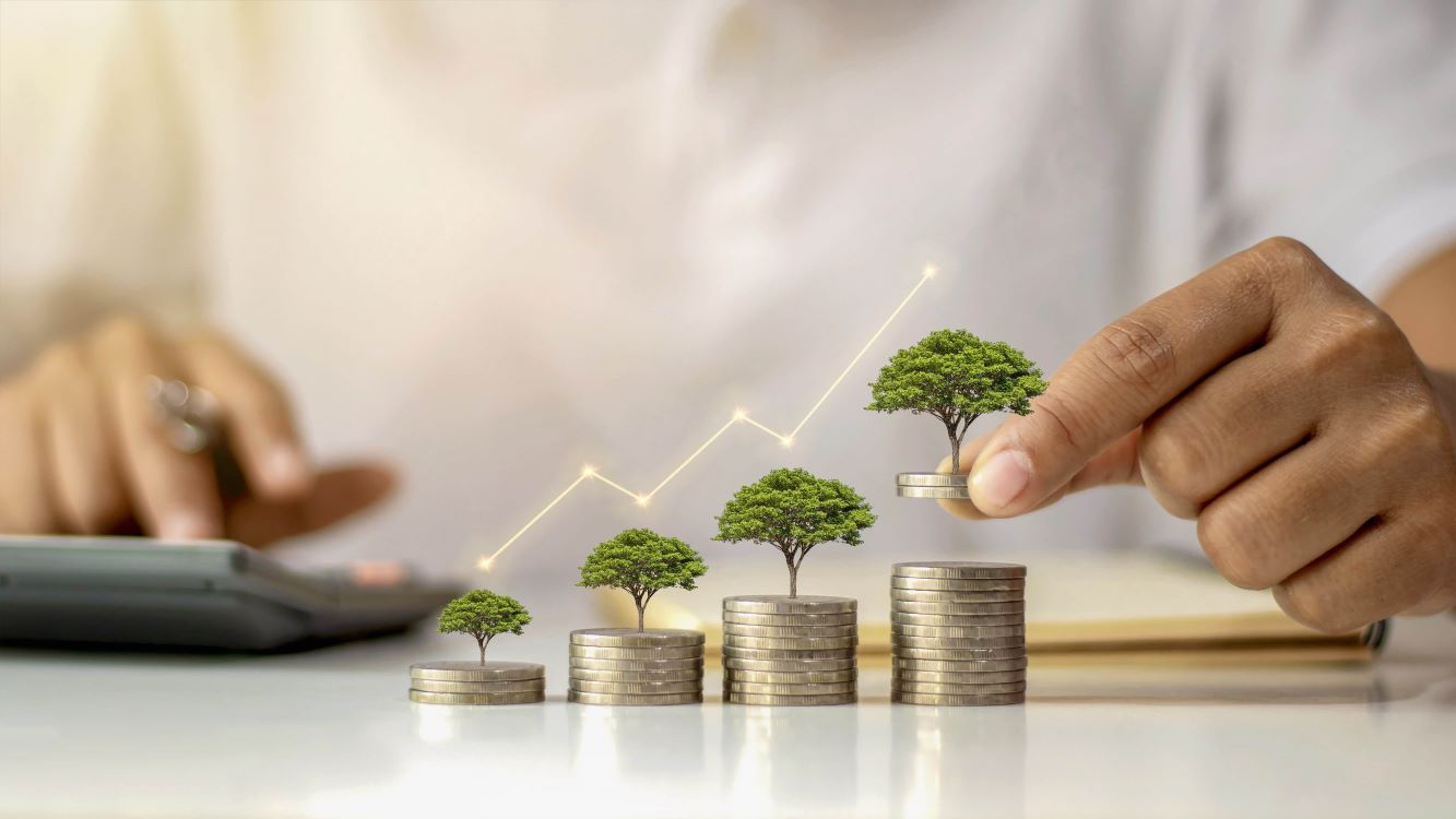Como atingir a sustentabilidade financeira